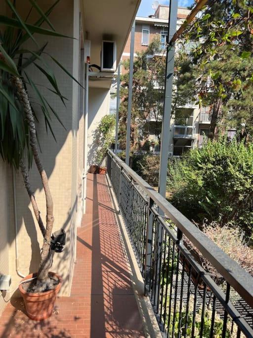 Apartment And Cosy Flat In Area Milan